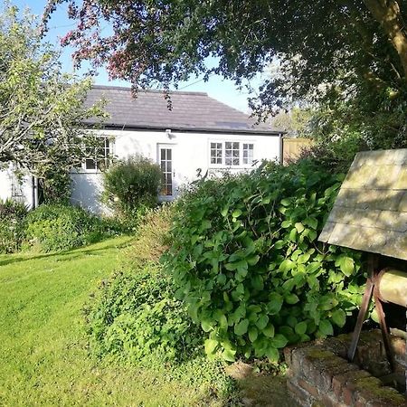Cozy Country Cottage With Beautiful Rural Views Newquay  Exterior photo